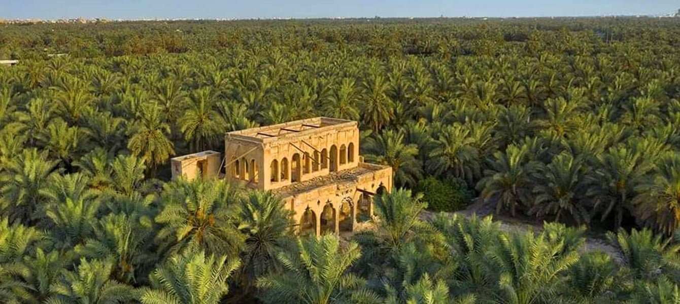 Al-Ahsa Oasis image 2